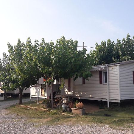 Camping Vila Village Sant Feliu de Buixalleu Zewnętrze zdjęcie