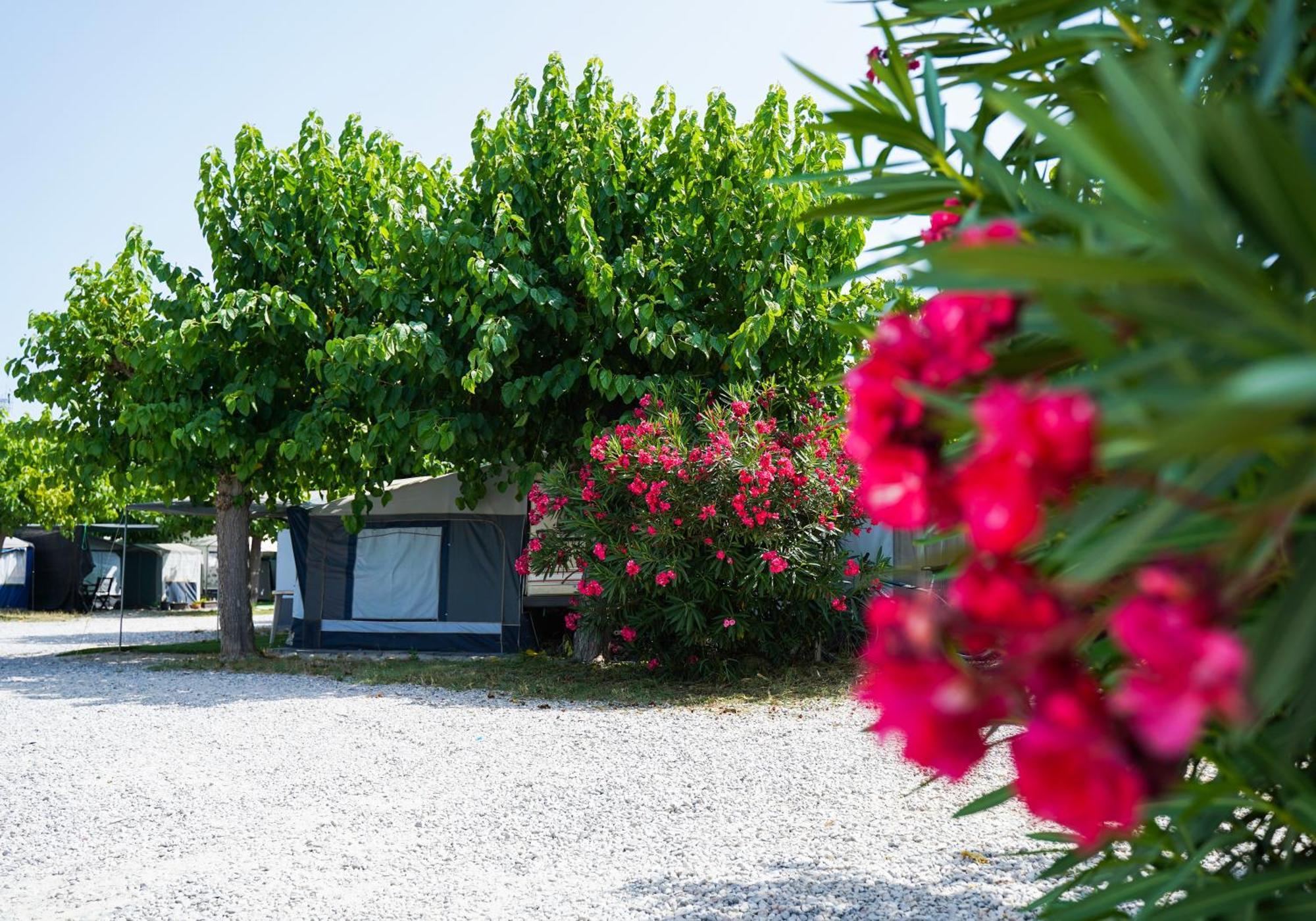 Camping Vila Village Sant Feliu de Buixalleu Zewnętrze zdjęcie